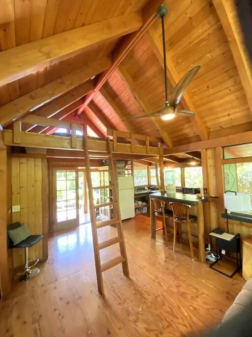 Holiday home Pele'S Shala - Sweet Seaview Sanctuary Near Ocean, Beach, And Kalani! Pahoa United States