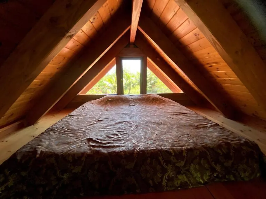 Pele'S Shala - Sweet Seaview Sanctuary Near Ocean, Beach, And Kalani! Pahoa