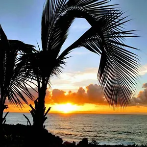 Paradise Palms Apartment